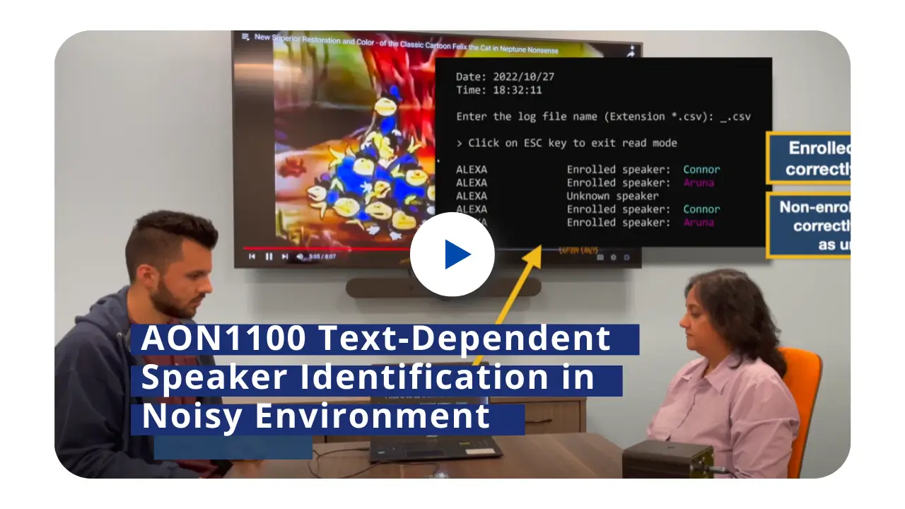 AON1100 Text-Dependent Speaker Identification in Noisy Environment